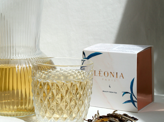 Premium Organic White Tea THÉ BLANC BIO PREMIUM