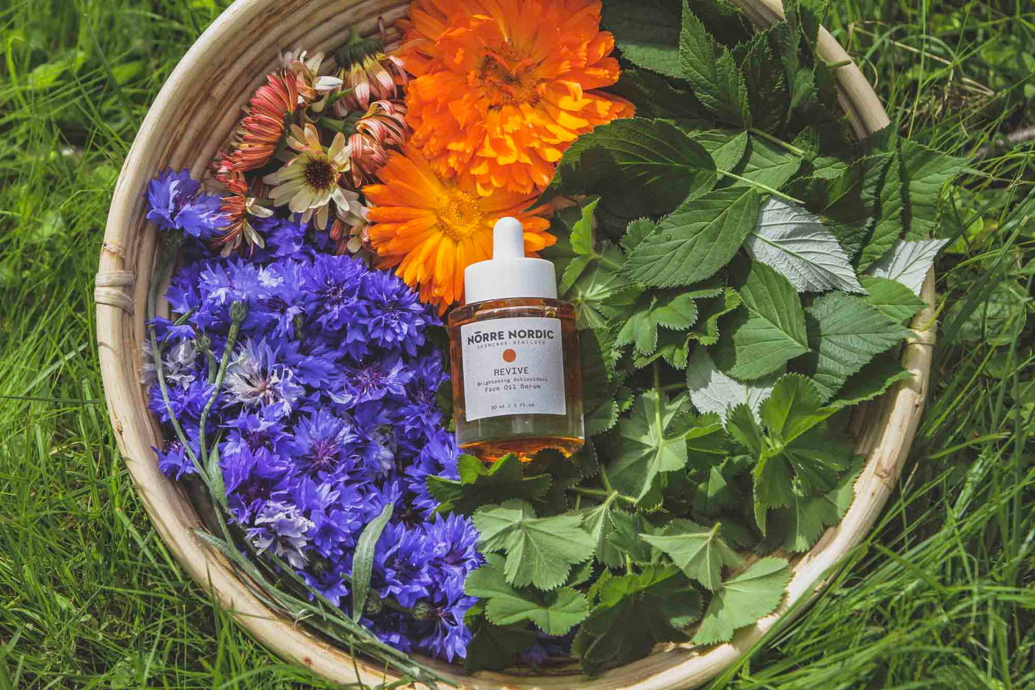 Revive Face Oil Serum
