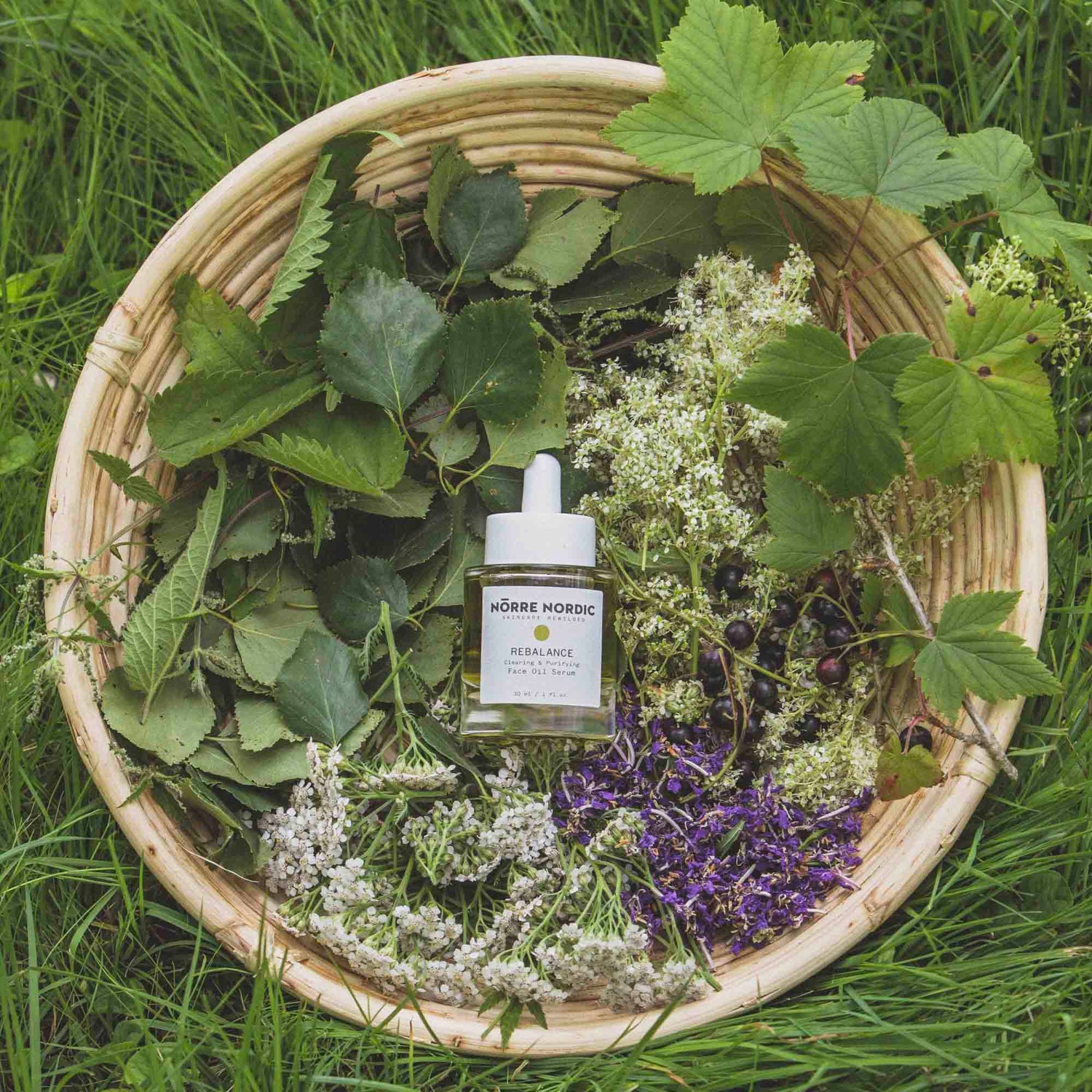 Rebalance Face Oil Serum