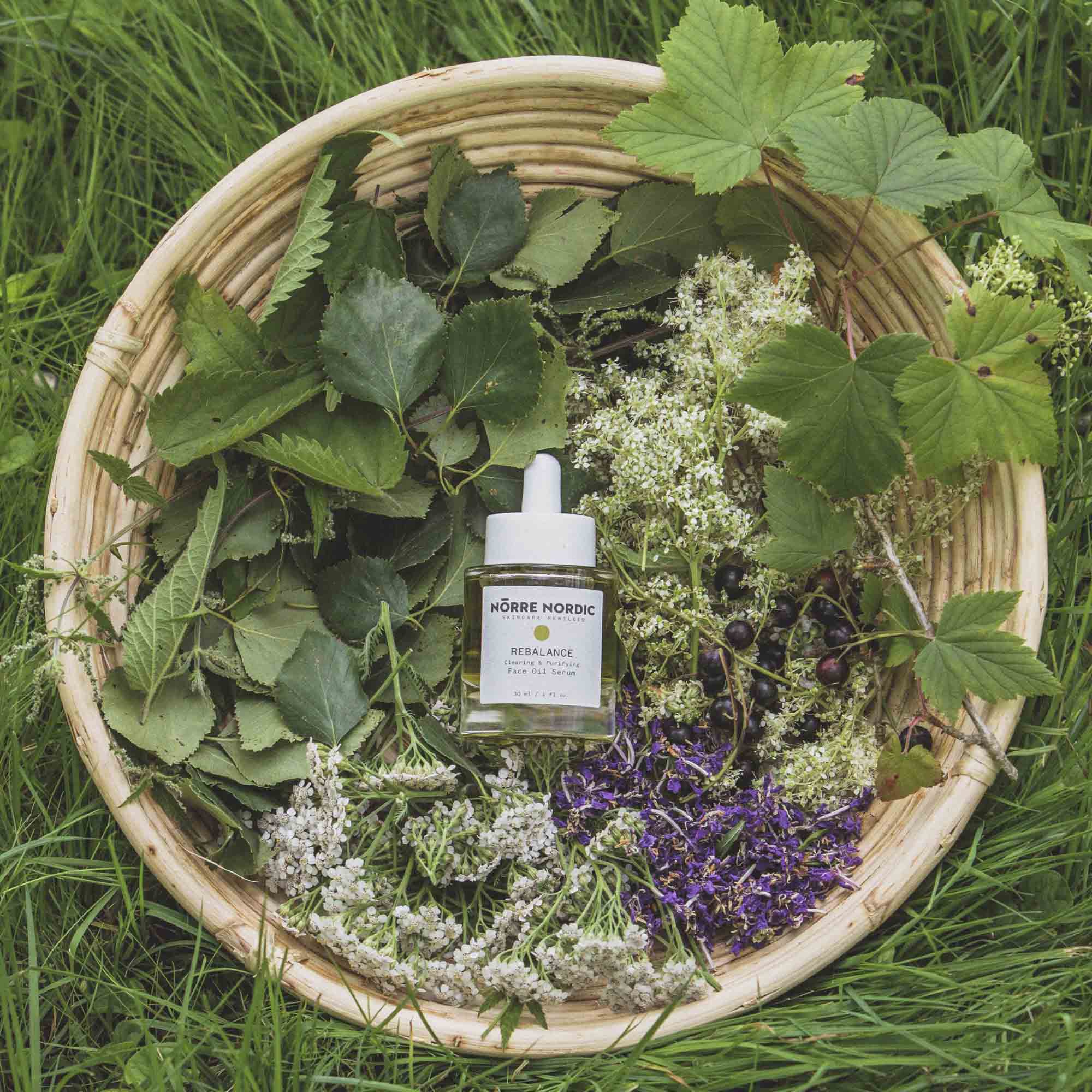 Rebalance Face Oil Serum